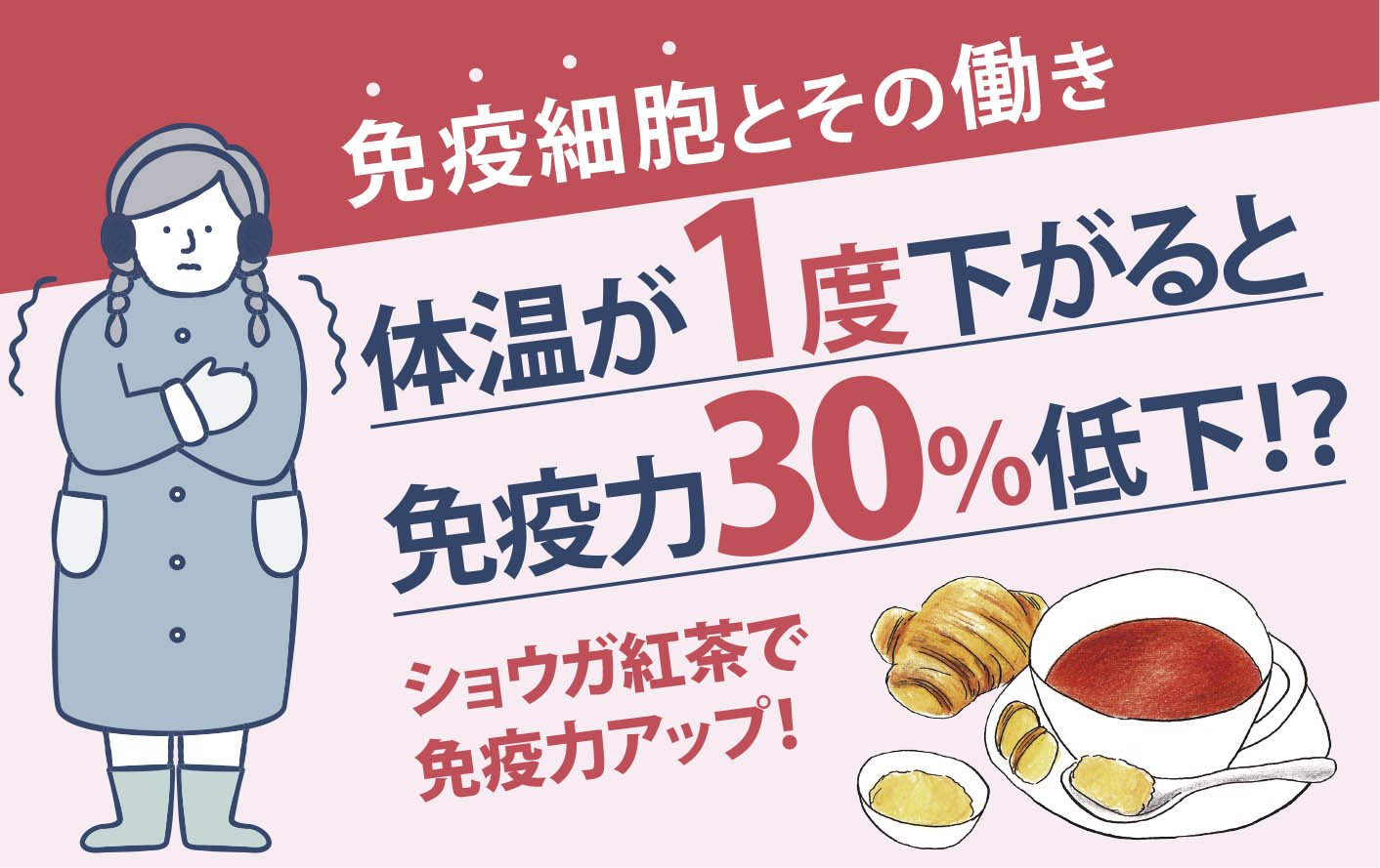 体温が１度下がると免疫力は30％低下!? 主な免疫細胞とその働き 